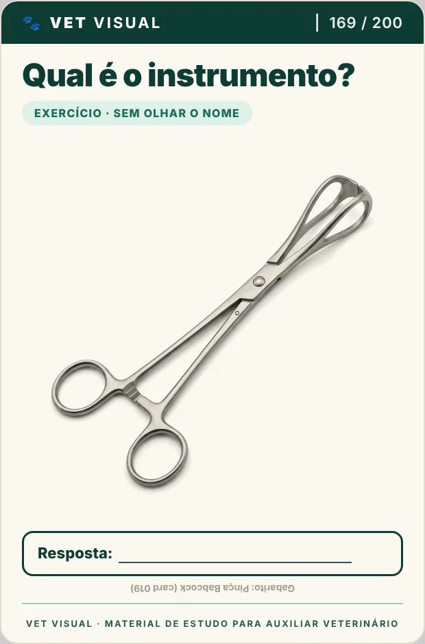 Card de exercício: Qual é o instrumento?